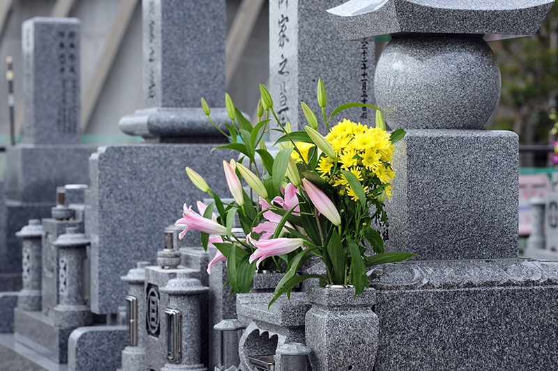 事業紹介